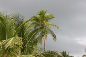 1403119_80724171