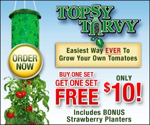Topsy Turvy Planter