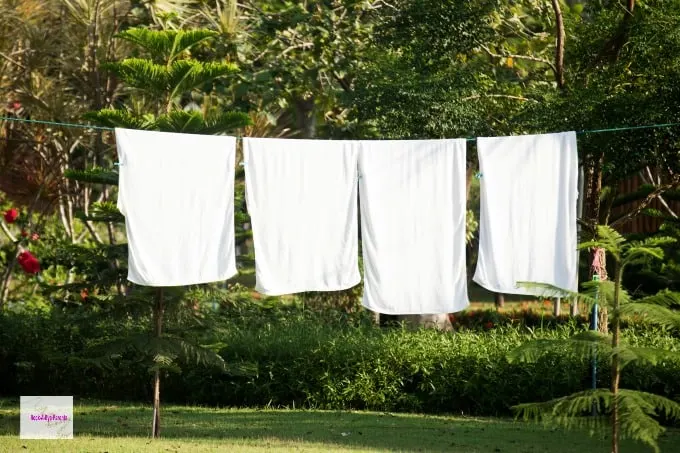 Towels Drying on Clothes Line